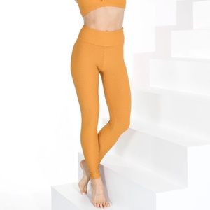 BootyByBrabants Croco Leggings